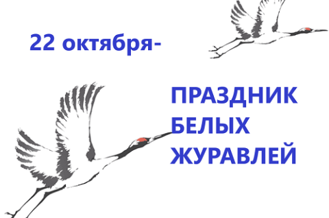 «Пусть летят по небу птицы...»